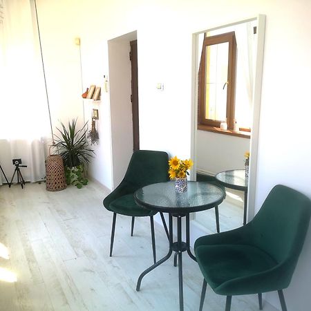 Casa Fotografului Villa Konstanca Kültér fotó