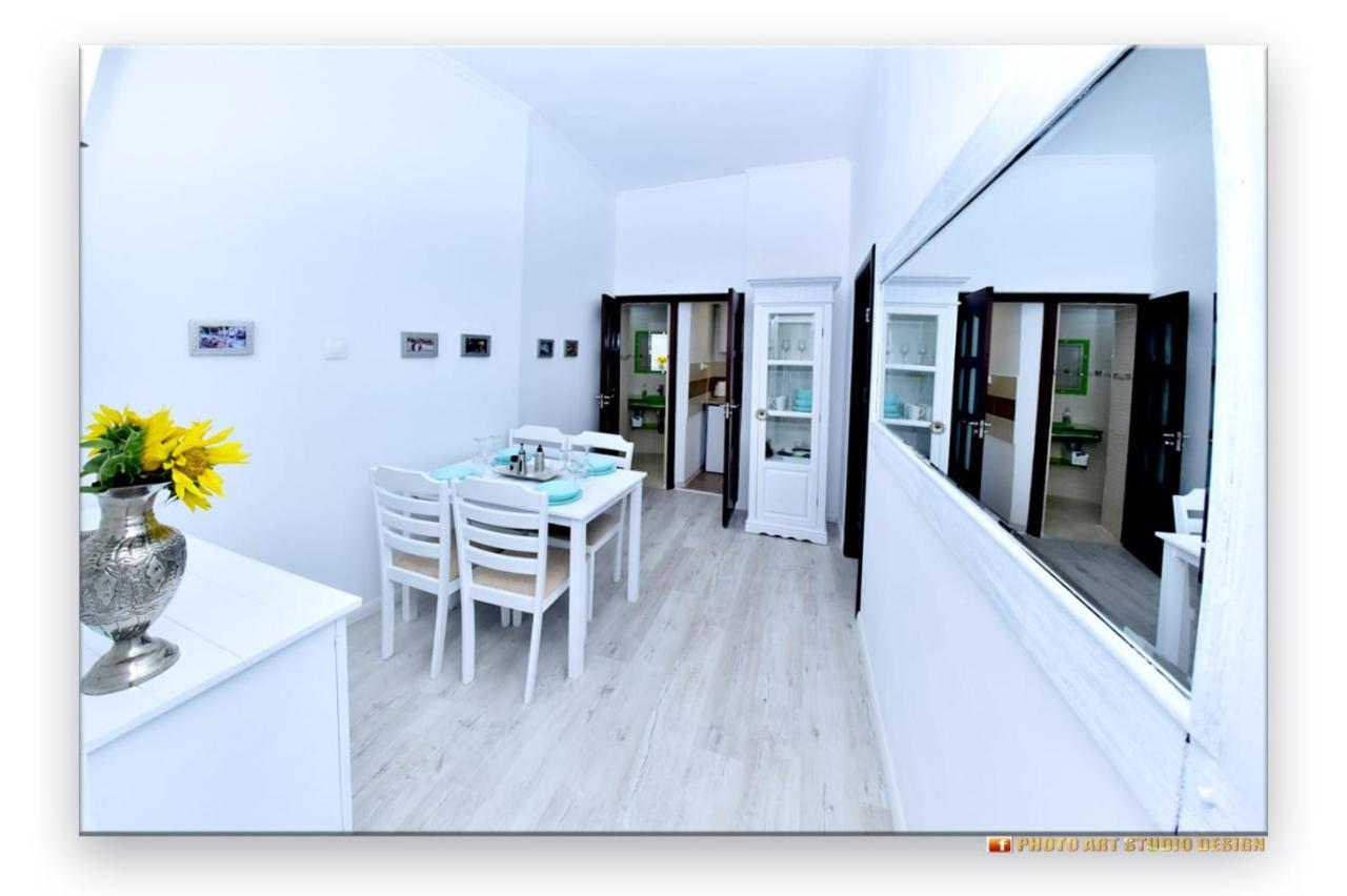 Casa Fotografului Villa Konstanca Kültér fotó