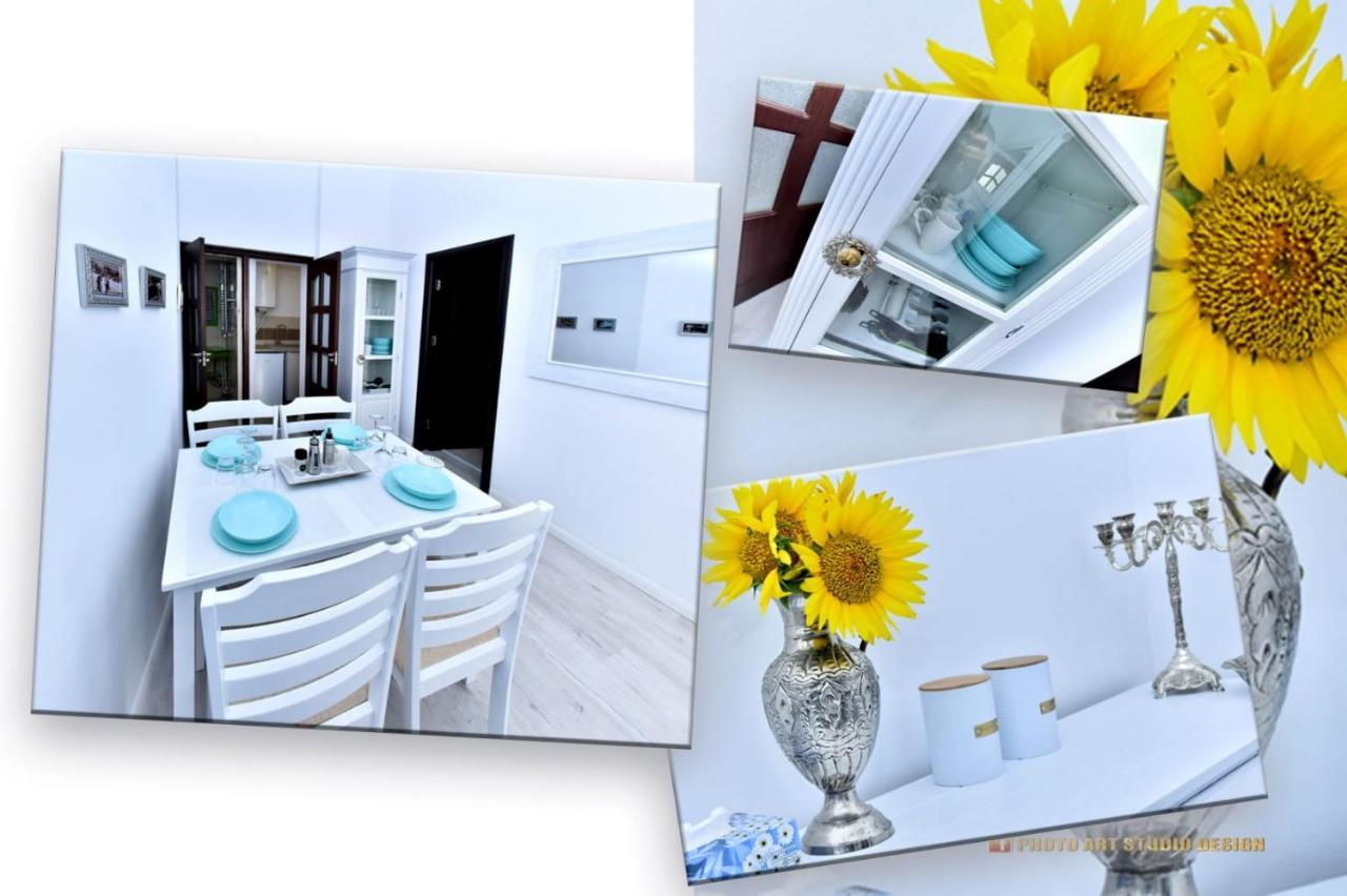 Casa Fotografului Villa Konstanca Kültér fotó