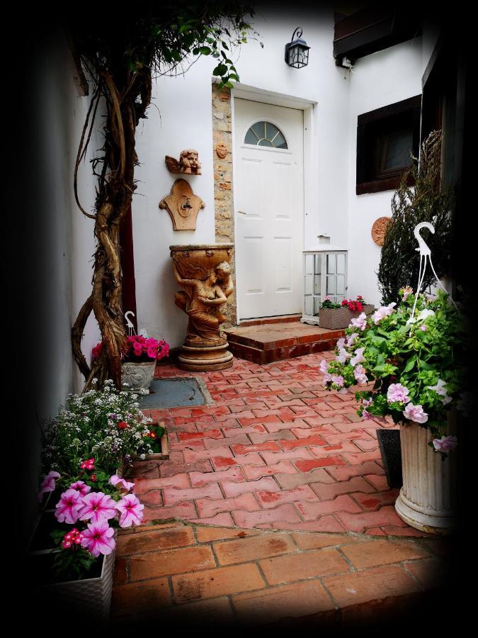 Casa Fotografului Villa Konstanca Kültér fotó