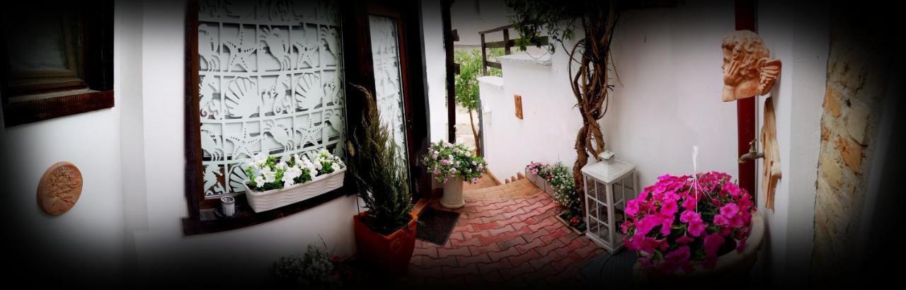 Casa Fotografului Villa Konstanca Kültér fotó
