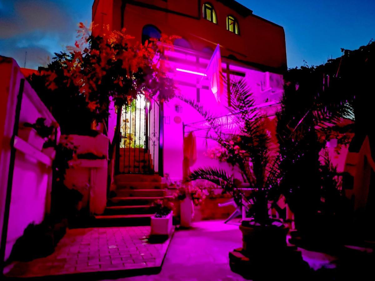 Casa Fotografului Villa Konstanca Kültér fotó