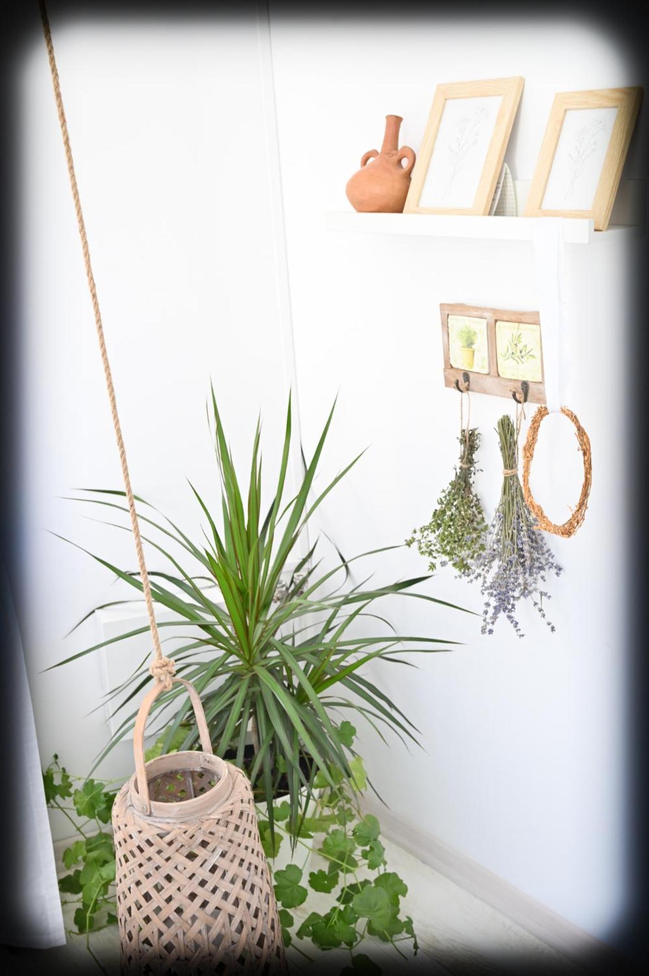 Casa Fotografului Villa Konstanca Kültér fotó