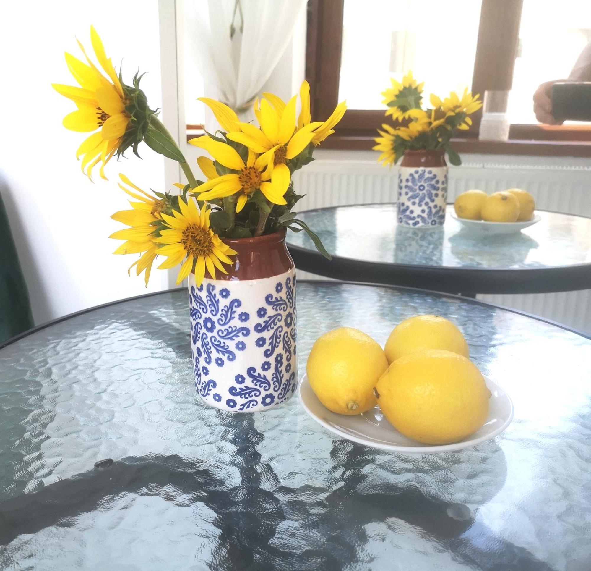 Casa Fotografului Villa Konstanca Kültér fotó